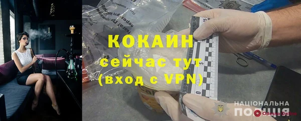 гашик Елизово