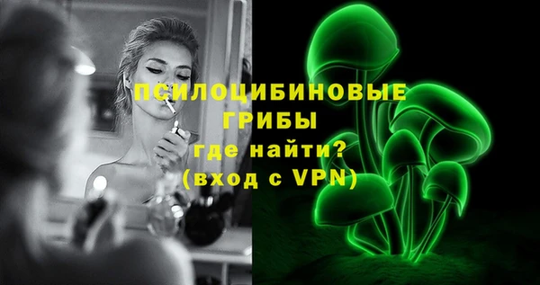 стаф Елабуга