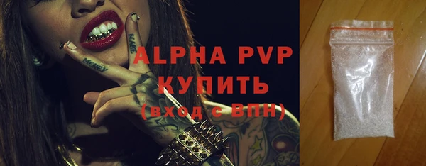 гашик Елизово