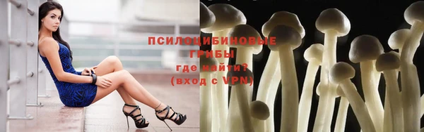 метамфетамин Ельня