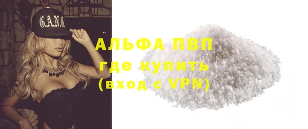 стаф Елабуга