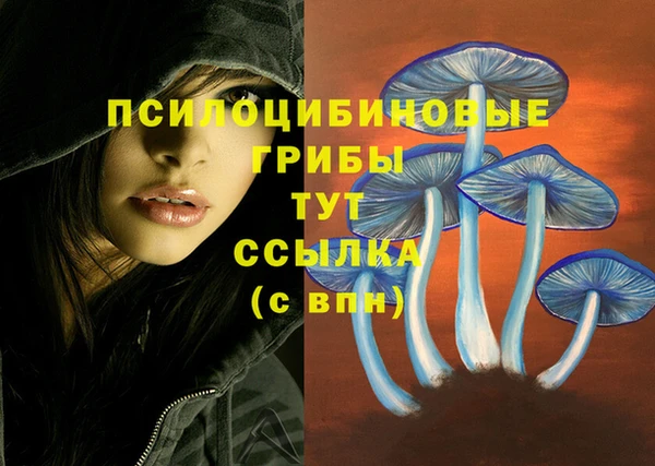метамфетамин Ельня
