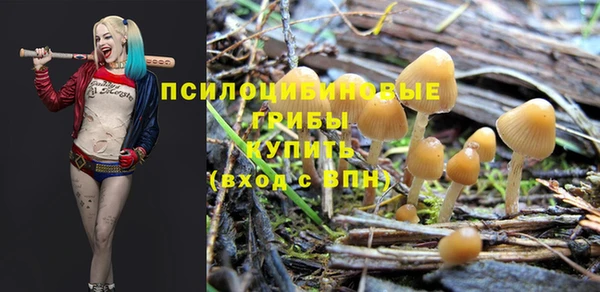 стаф Елабуга