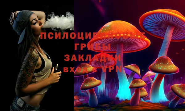 стаф Елабуга