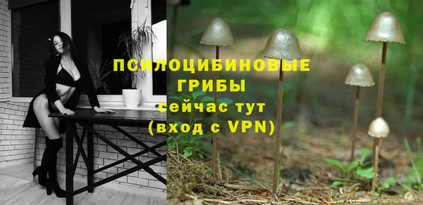 метамфетамин Ельня