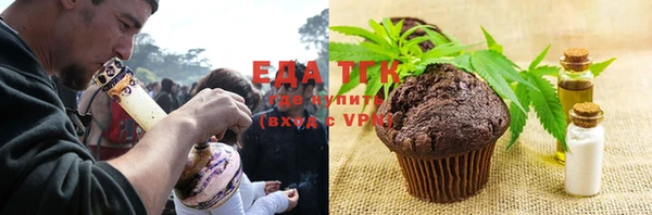 гашик Елизово
