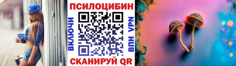 Псилоцибиновые грибы мицелий  Купить  Заозёрск 